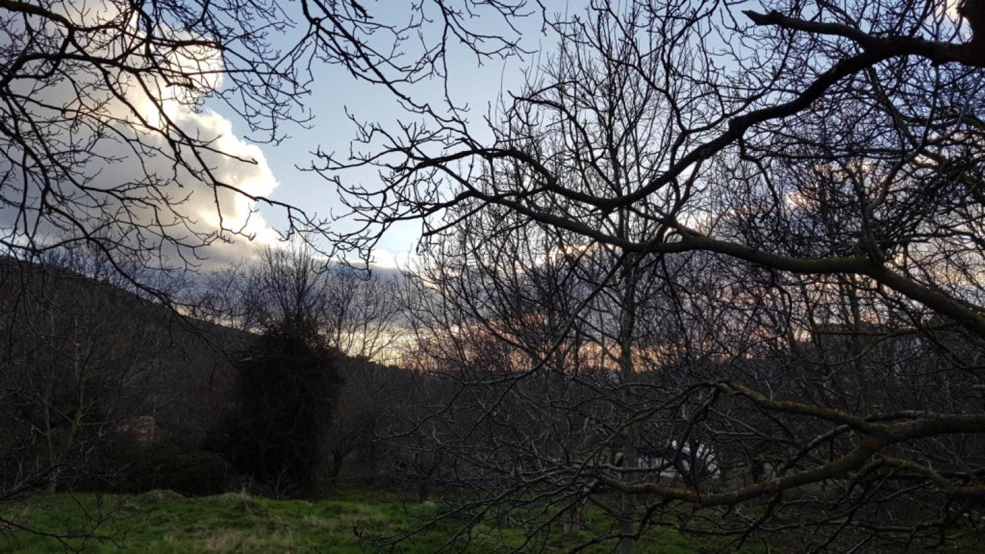 Las Abadias San Felices de los Gallegos 外观 照片